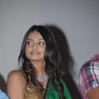 Nikitha Narayana In Its My Love Story Audio Launch - Stills | Picture 90721